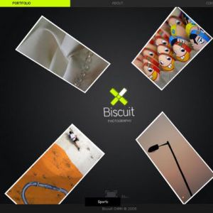 BiscuitPhotographer-homepage