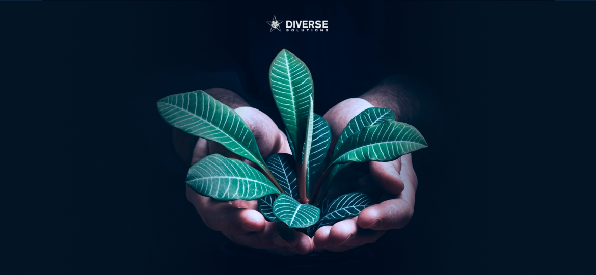 Sustainable Gifting