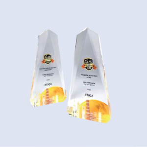DS-A-57 Acrylic Award 9" / 230mm