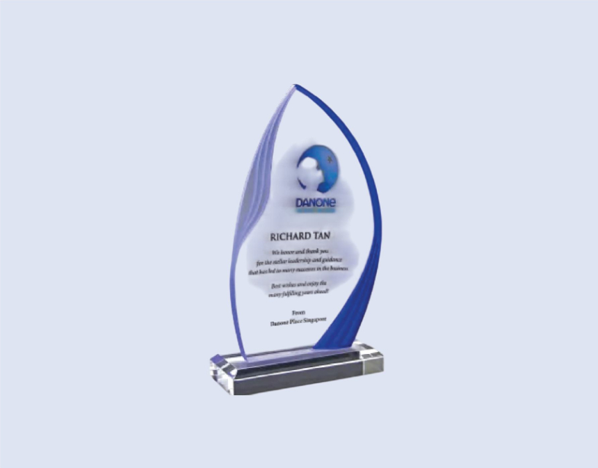 DS-A-64 Acrylic Award 8.5" / 215mm