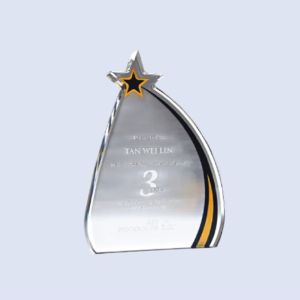 DS-A-70 Acrylic Star Award 8" / 200mm