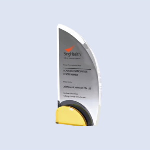 DS-A-71 Acrylic Award 8.75" / 220mm