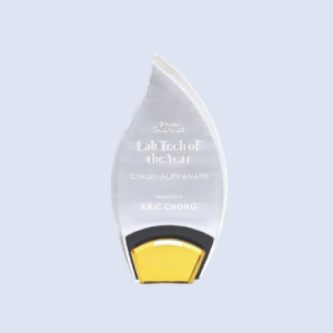 DS-A-72 Acrylic Flame Award 9.25" / 235mm