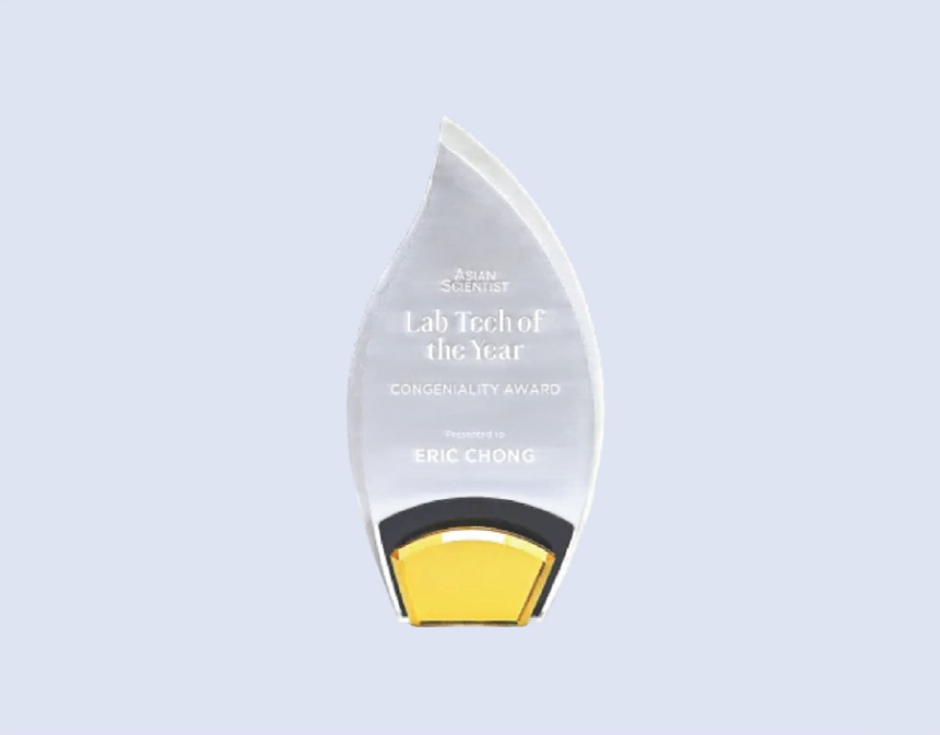 DS-A-72 Acrylic Flame Award 9.25" / 235mm