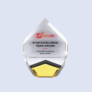 DS-A-73 Acrylic Award 8" / 200mm