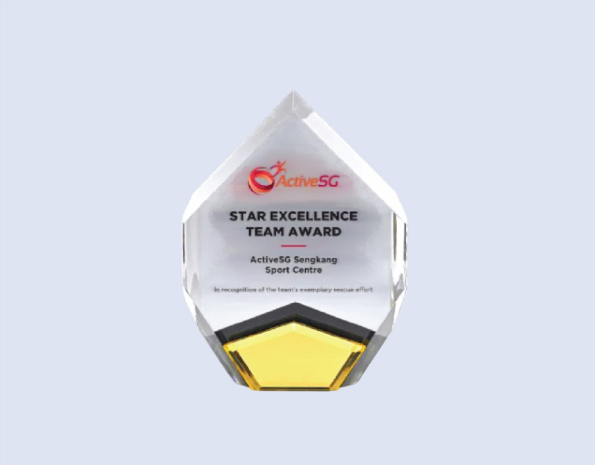 DS-A-73 Acrylic Award 8" / 200mm