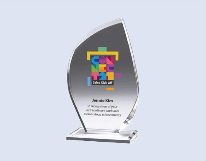 DS-AA-1001 Acrylic Award 6.5" / 170mm