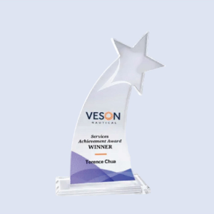 DS-AA-1004 Acrylic Star Award 8" / 200mm