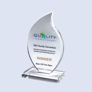 DS-AA-1020 Petit Acrylic Flame Award 5" / 130mm