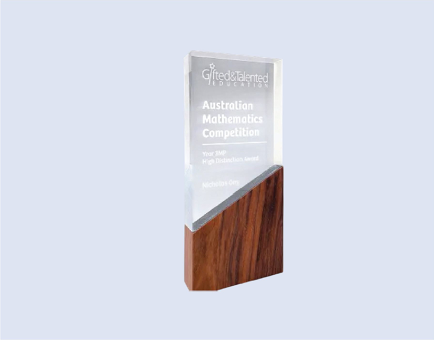 DS-MA-40 Acrylic Award with Wood 8" / 200mm