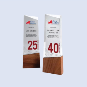 DS-MA-42 Acrylic Award with Wood 9" / 230mm