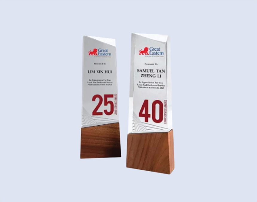 DS-MA-42 Acrylic Award with Wood 9" / 230mm