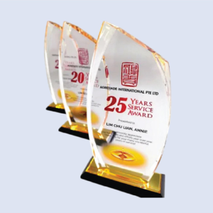 DS-A-24 Acrylic Award 9" / 230mm