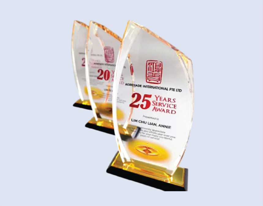 DS-A-24 Acrylic Award 9" / 230mm