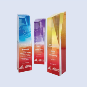 DS-A-41 Acrylic Award 10.5" / 265mm
