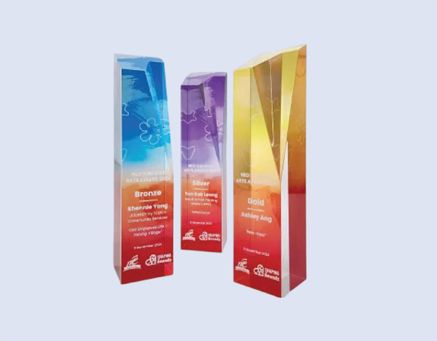 DS-A-41 Acrylic Award 10.5" / 265mm