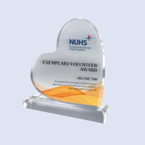 DS-A-42 Acrylic Love Heart Award 7" / 180mm