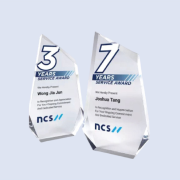 DS-A-45 Acrylic Award 7" /180mm