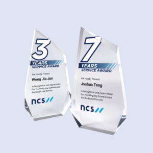 DS-A-45 Acrylic Award 7" /180mm