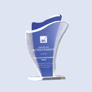 DS-A-46 Acrylic Award 8" / 200mm