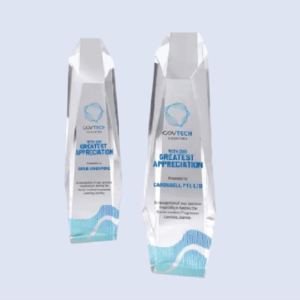 DS-CA-318 Crystal Award 11"/280mm