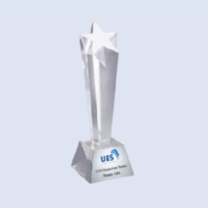 DS-CA-386MT Crystal Star Award 8" / 200mm - Size Options
