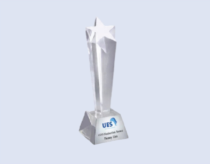 DS-CA-386MT Crystal Star Award 8" / 200mm - Size Options