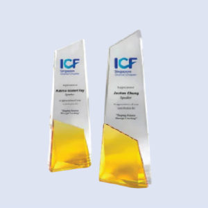 DS-CA-249 Crystal Award 10" / 255mm