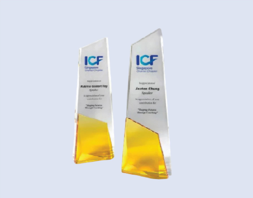 DS-CA-249 Crystal Award 10" / 255mm