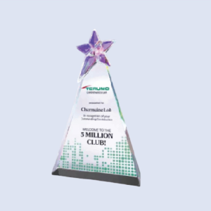 DS-CA-253 Crystal Award 10" / 255mm
