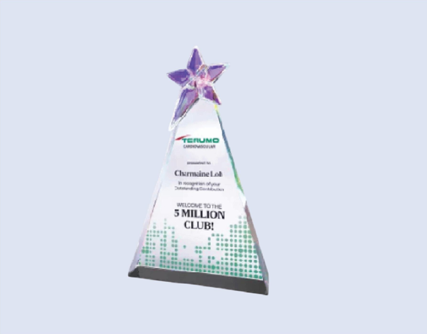 DS-CA-253 Crystal Award 10" / 255mm