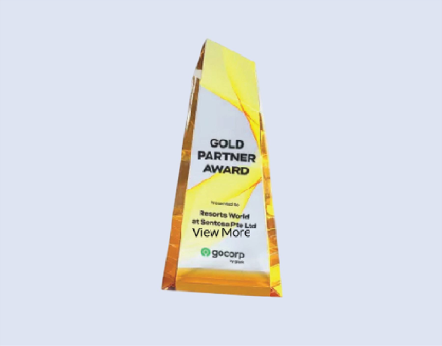 DS-CA-256 Crystal Award 9" 230mm