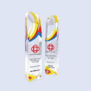 DS-CA-257 Crystal Award 11"/280mm