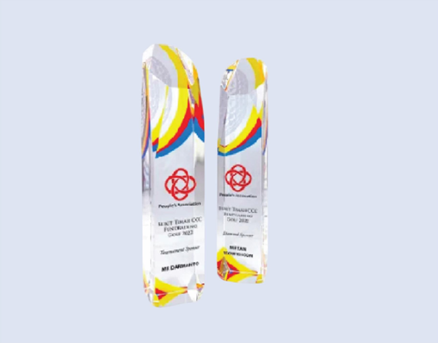 DS-CA-257 Crystal Award 11"/280mm
