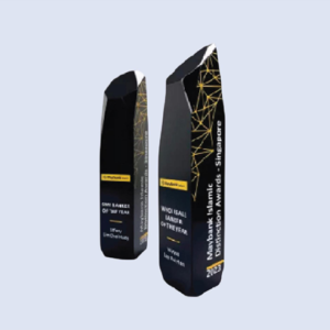 DS-CA-258 Crystal Award 11"/ 280mm