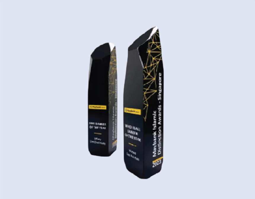 DS-CA-258 Crystal Award 11"/ 280mm