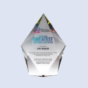 DS-CA-259 Crystal Award 8""/ 200mm