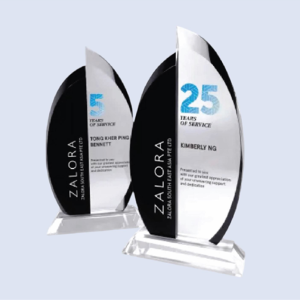 DS-CA-260 Crystal Award 10" / 255mm