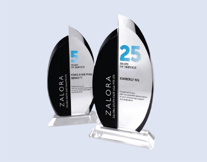 DS-CA-260 Crystal Award 10" / 255mm