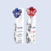 DS-CA-262 Orchid Liuli Crystal Award 9" 230mm Colour Options
