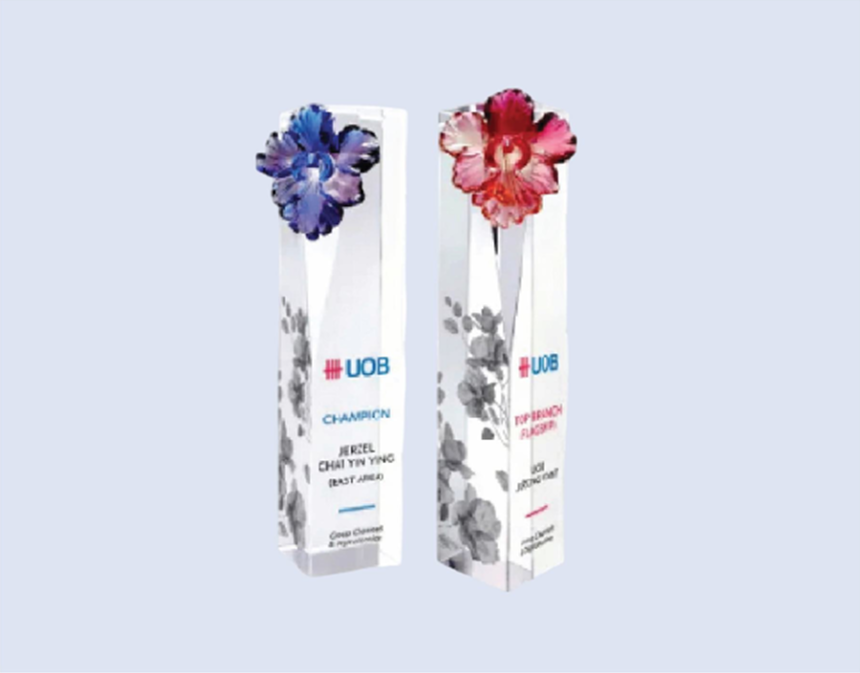 DS-CA-262 Orchid Liuli Crystal Award 9" 230mm Colour Options