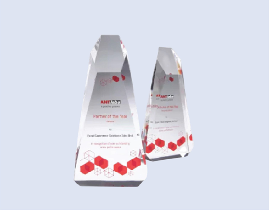 DS-CA-263 Crystal Award 8" / 200mm - Size Options