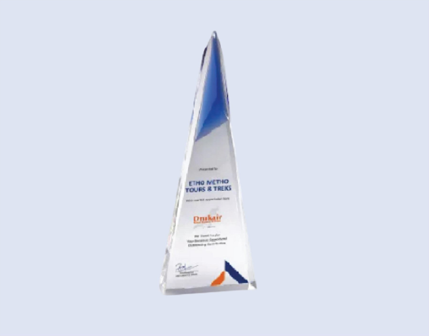 DS-CA-268 Crystal Award 11" / 280mm