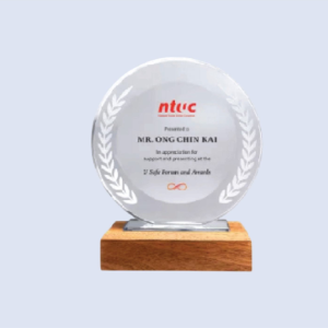 DS-CA-276 Crystal Award with Wood Base 7" / 180mm