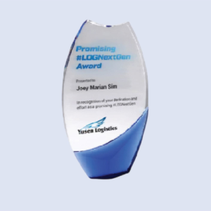 DS-CA-278 Crystal Award 8"/ 200mm