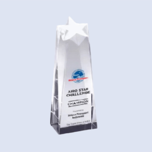 DS-CA-287 Crystal Star Award 8.5" / 215mm
