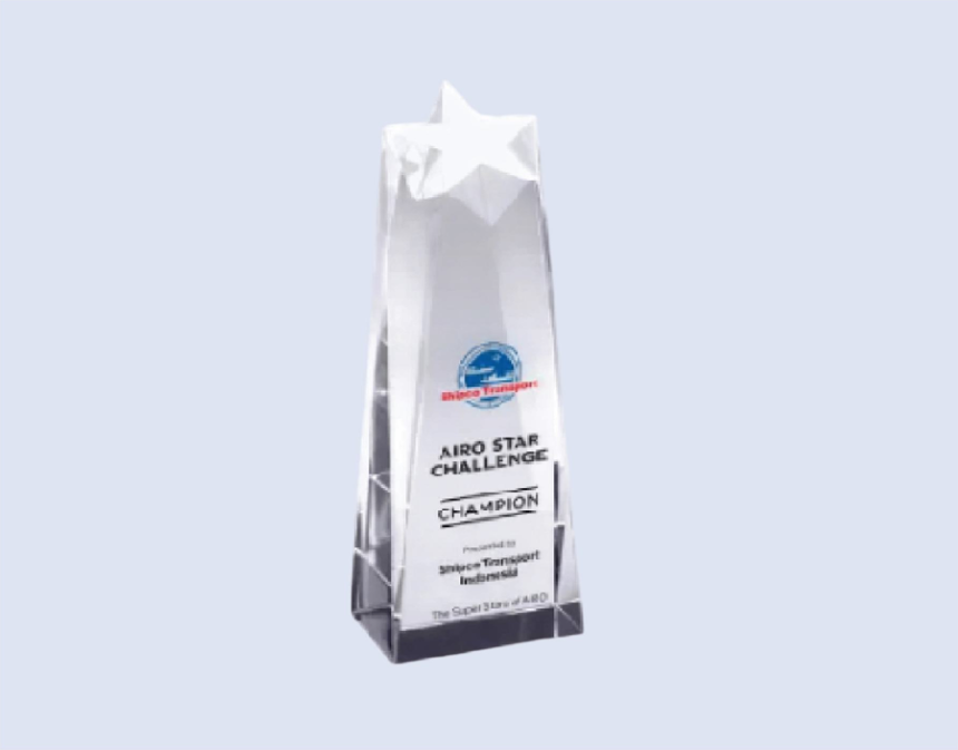 DS-CA-287 Crystal Star Award 8.5" / 215mm