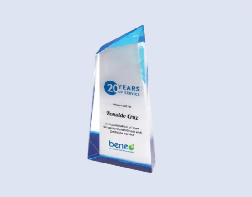DS-CA-294 Crystal Award 9"/ 230mm