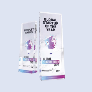 DS-CA-297 Crystal Award 9" / 230mm - Size Options