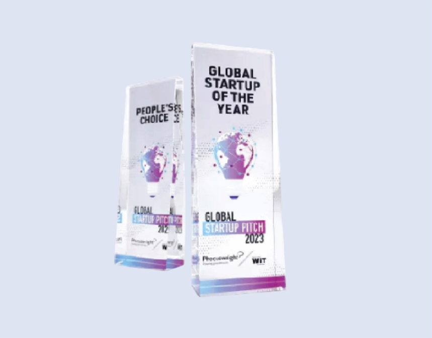 DS-CA-297 Crystal Award 9" / 230mm - Size Options